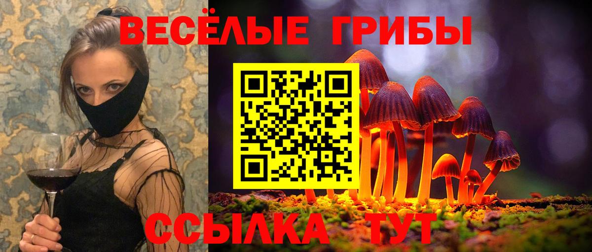 Галлюциногенные грибы Psilocybine cubensis Сокол