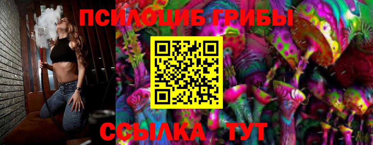 Псилоцибиновые грибы Cubensis  Вход с VPN  Сокол 